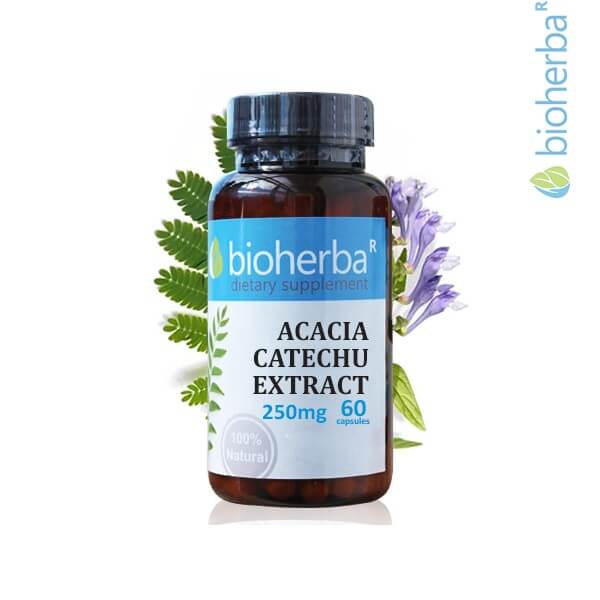 ACATHIA CATECHU EXTRACT, Kapseln x 60, 250 mg, Bioherba P